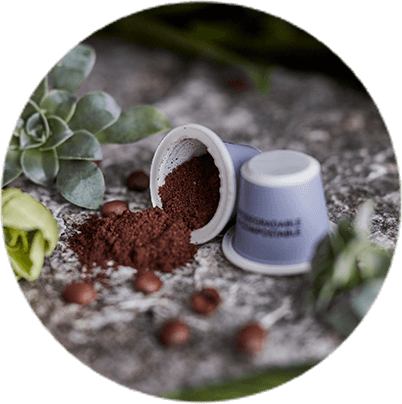 Biodegradable & Industrial compostable